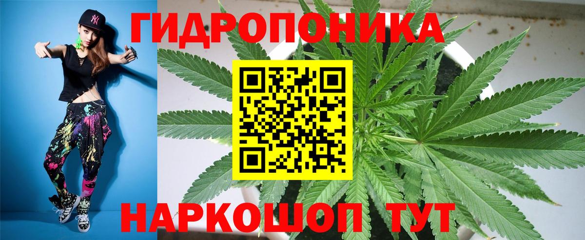 Шишки марихуана конопля  Вход с VPN  Бошки марихуана план  МАРИХУАНА SATIVA & INDICA  Нальчик  Конопля индика 